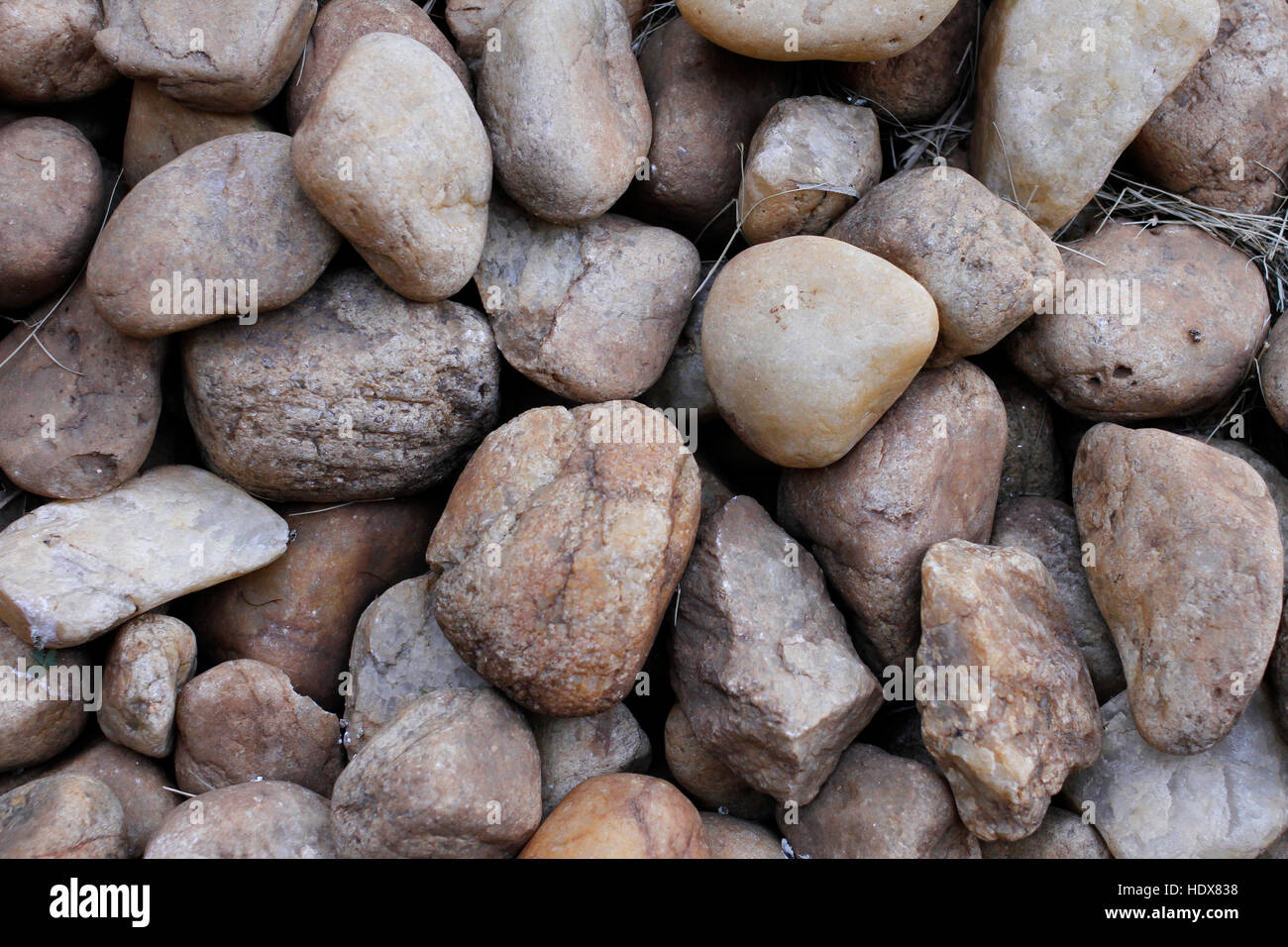 La texture di piccole pietre in toni neutri Foto Stock