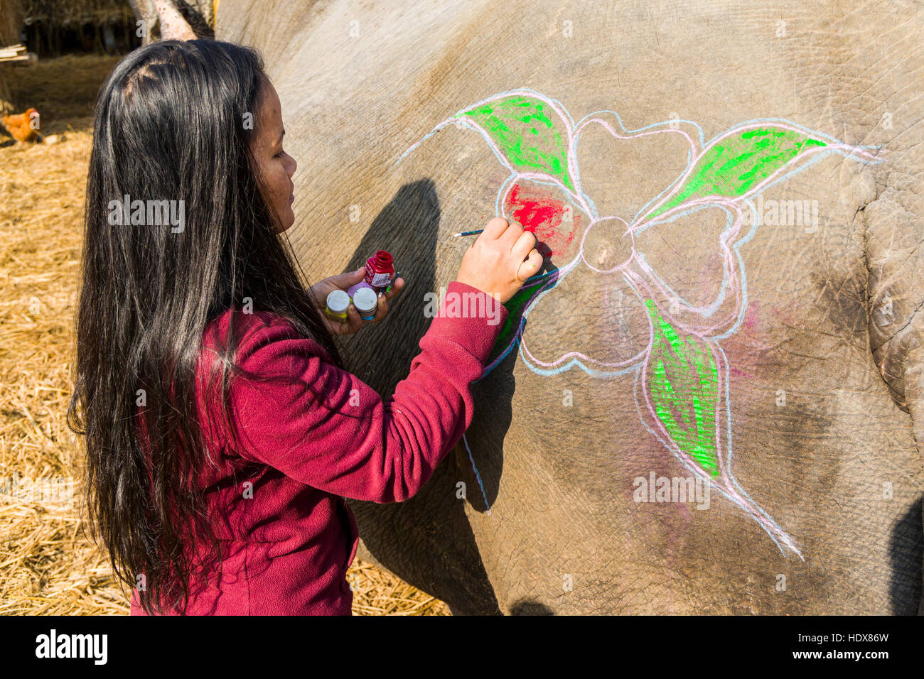 Una giovane donna è dipinto un elefante per il festival di elefante Foto Stock