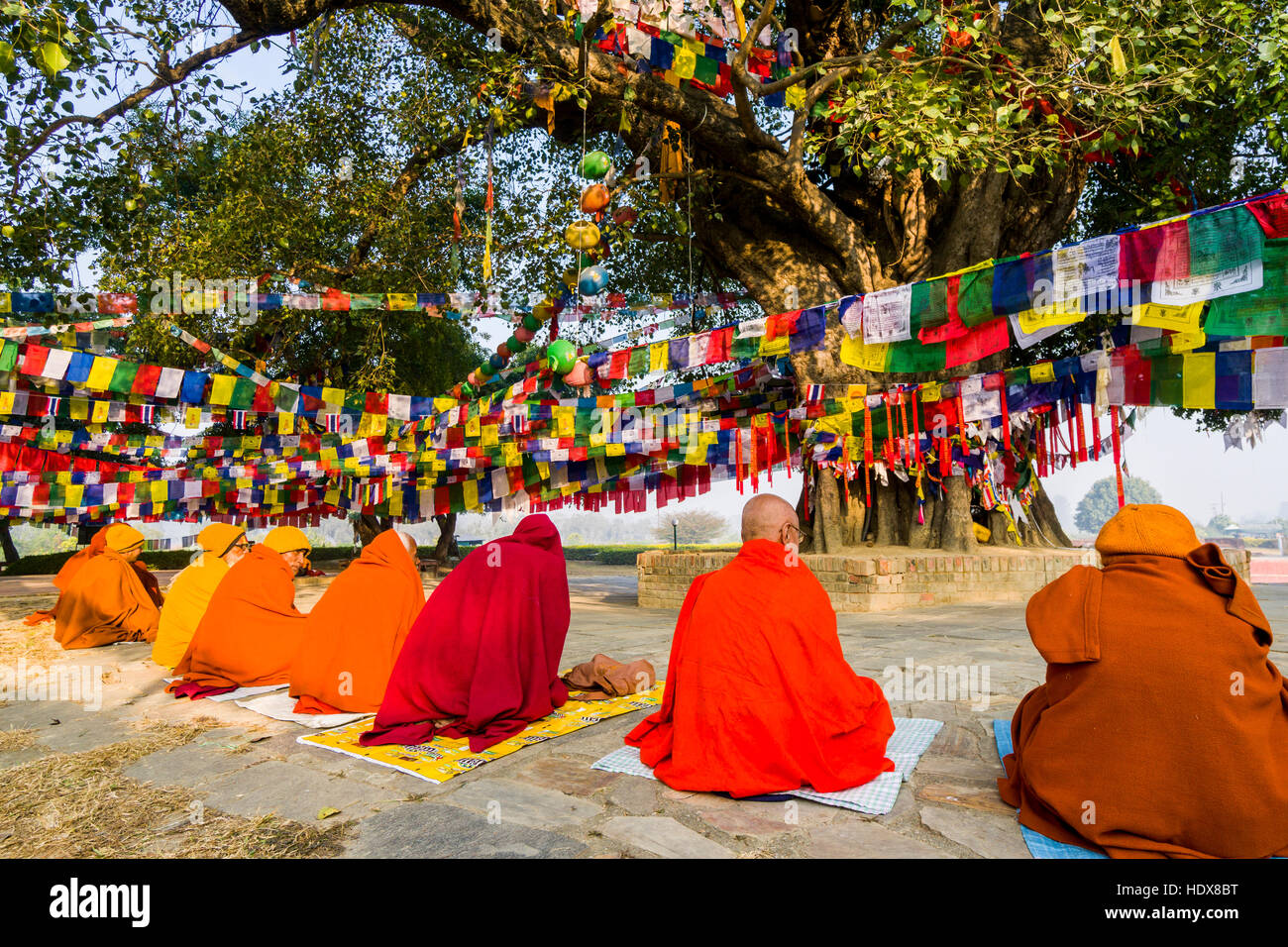 Alcuni sadhus, santi uomini, sono seduti intorno al bodhi tree accanto al Tempio di Mayadevi, il luogo di nascita di Siddharta Gautama, presente il buddha Foto Stock