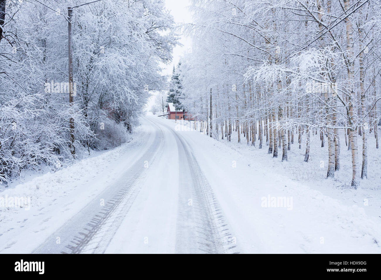 Piccola strada in inverno Foto Stock