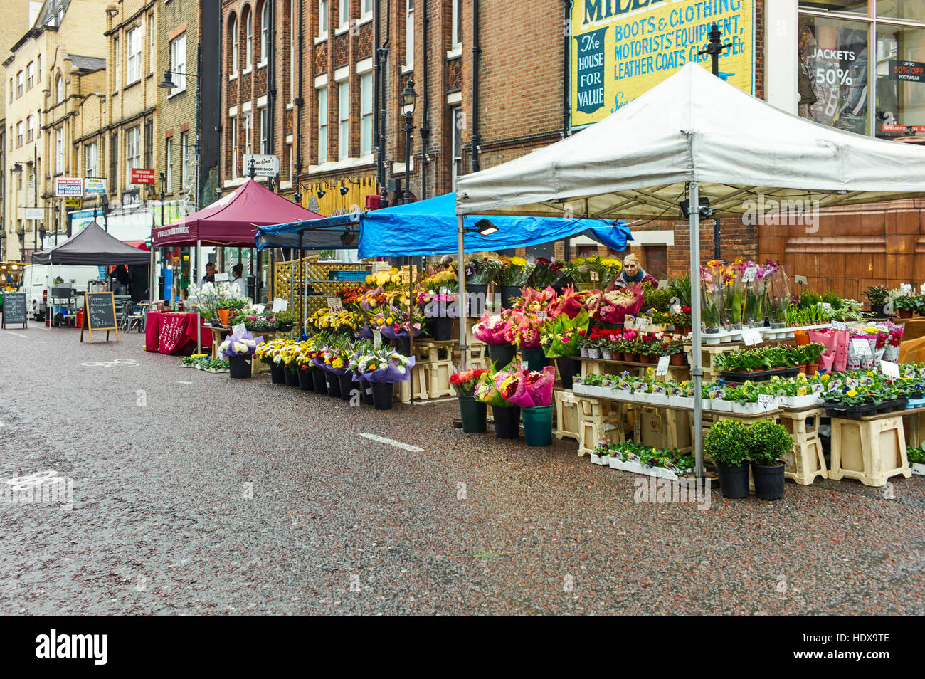Fiori su Croydon stallo del mercato Foto Stock