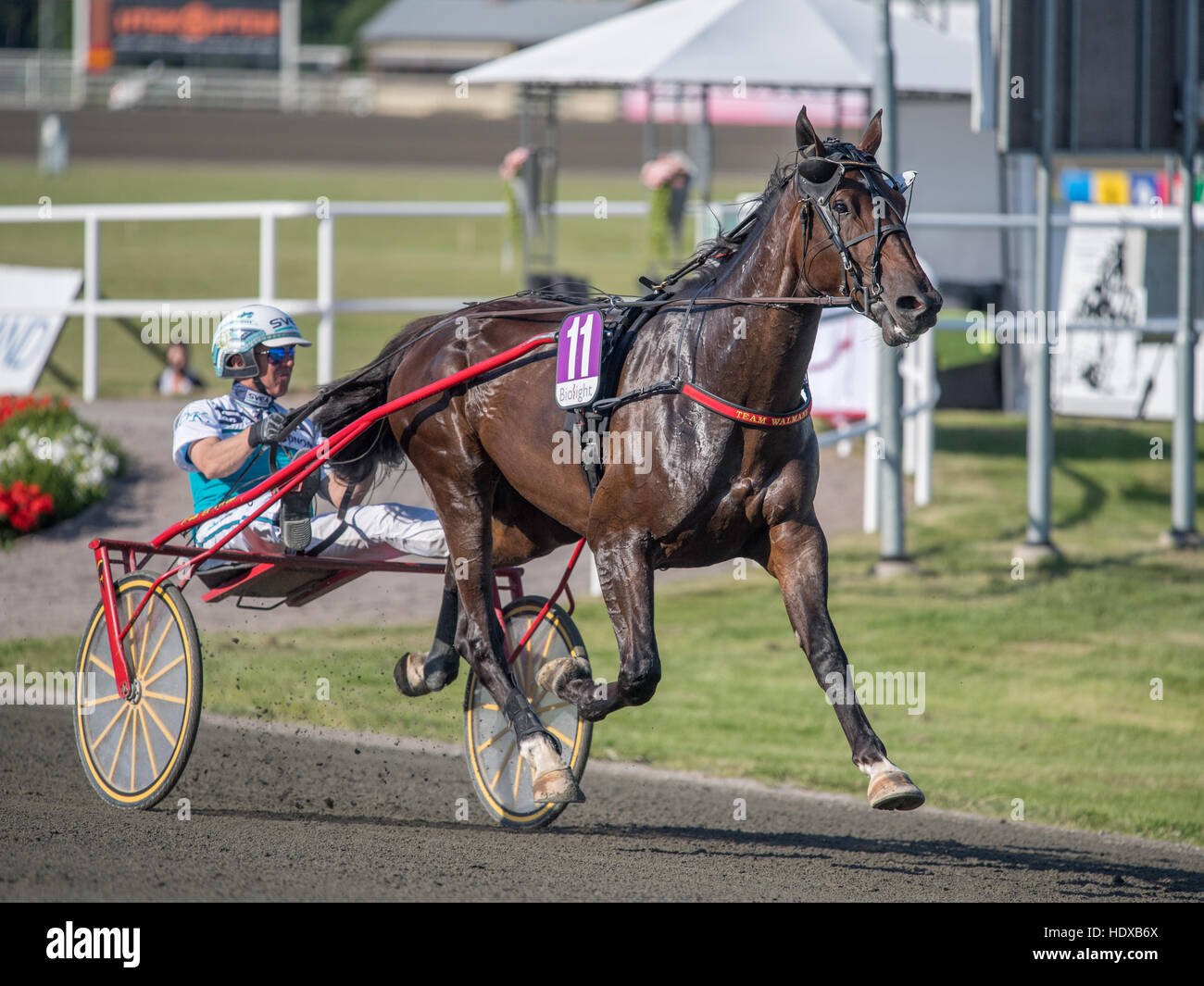 Cablaggio racing driver Örjan Kihlström dietro Playboy faccia Foto Stock