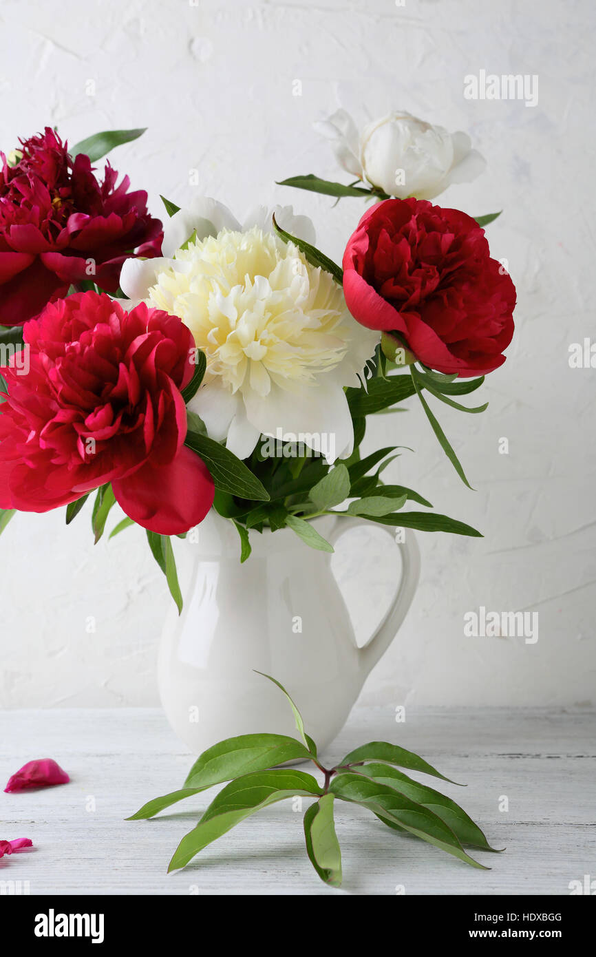 Le Peonie bouquet su sfondo bianco, fiori Foto Stock