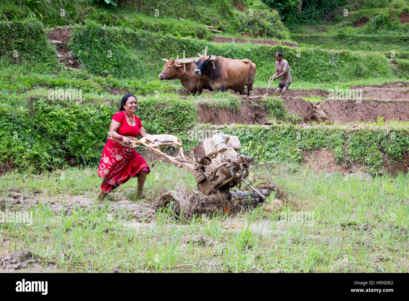 Donna che utilizza una macchina timone fornito da USAID programma finanziato nel distretto di Nuwakot, Nepal Foto Stock