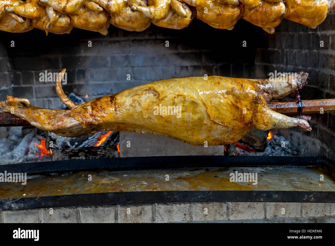 Pollo, agnello e maiale su barbecue sull'asta Foto Stock