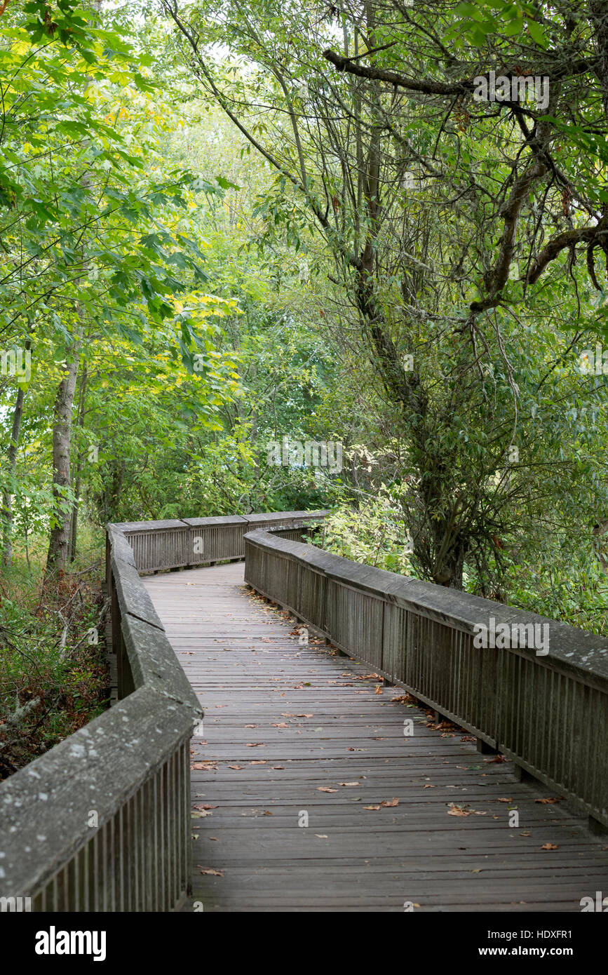 Il Boardwalk trail a Billy Frank Jr. Nisqually National Wildlife Refuge in Western Washington. Foto Stock