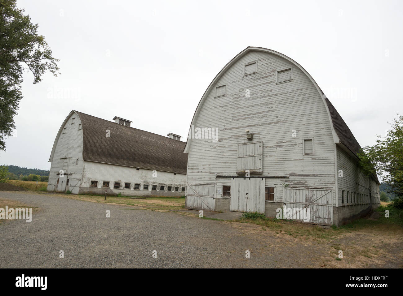 Granai a Billy Frank Jr. Nisqually National Wildlife Refuge in Western Washington. Foto Stock