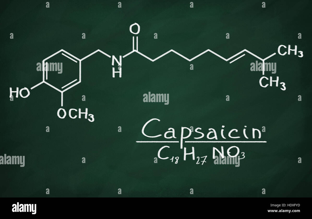 Il modello strutturale di capsaicina sulla lavagna. Foto Stock
