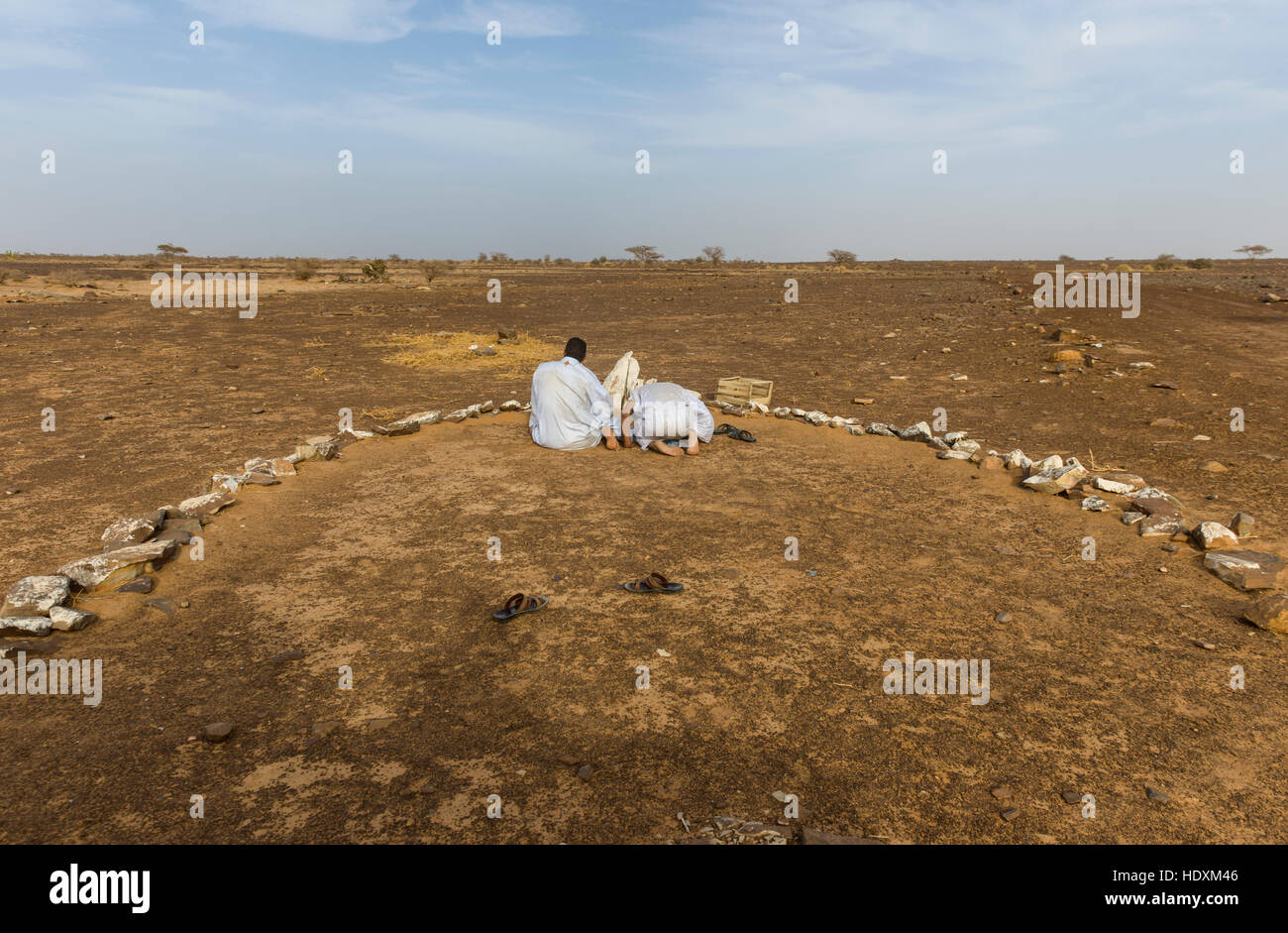 Nel pomeriggio tempo in preghiera nell'Adrar, Mauritania Foto Stock