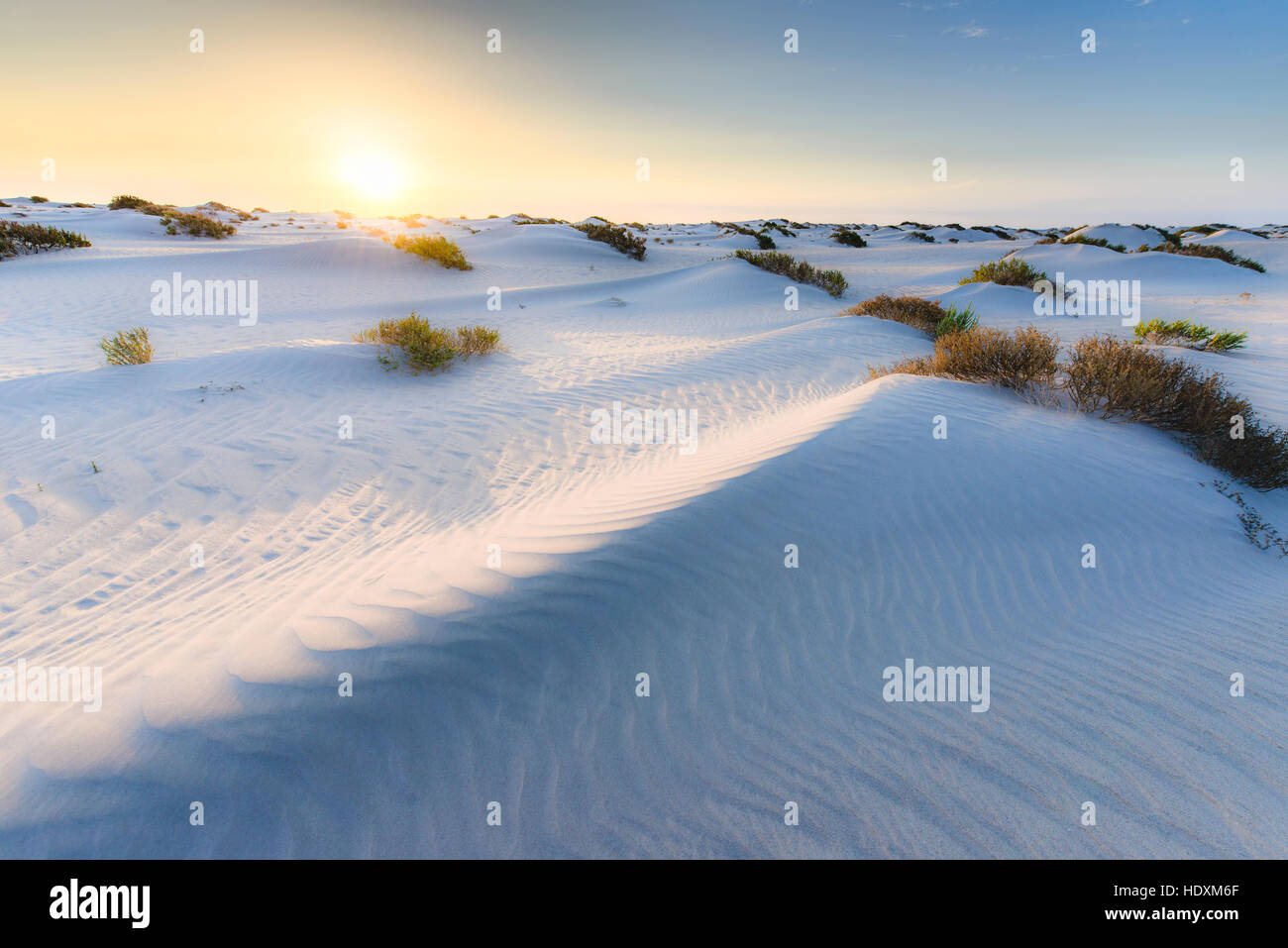 Sahara occidentale Foto Stock