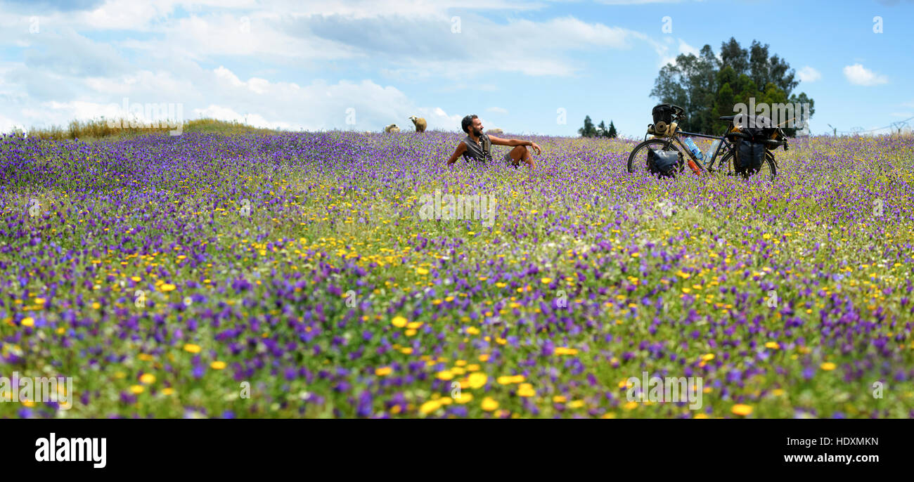 Escursioni in bicicletta nel Medio Atlante, Marocco Foto Stock