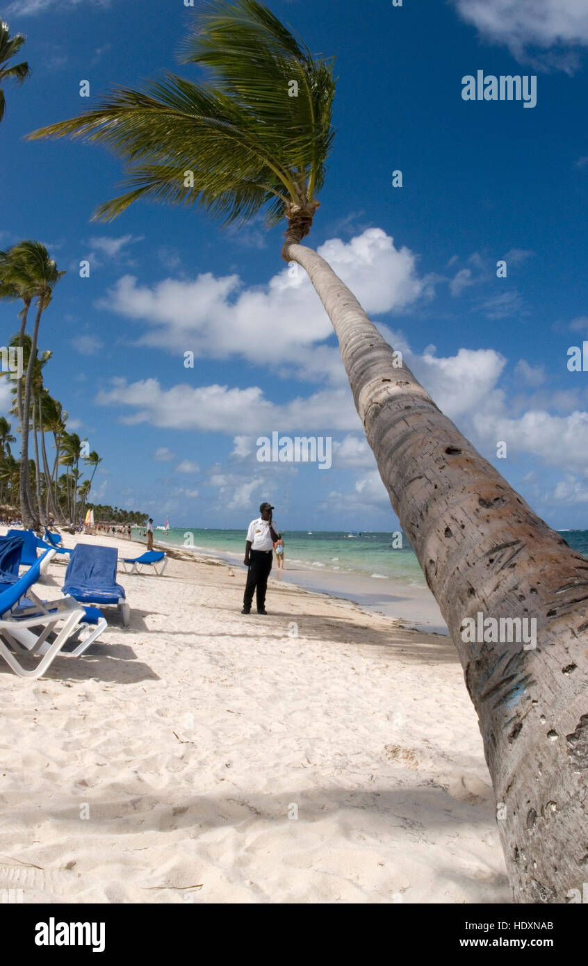 Uomo di sicurezza su di una spiaggia di sabbia, palme da cocco (Cocos nucifera), Punta Cana, Repubblica Dominicana, America Centrale Foto Stock