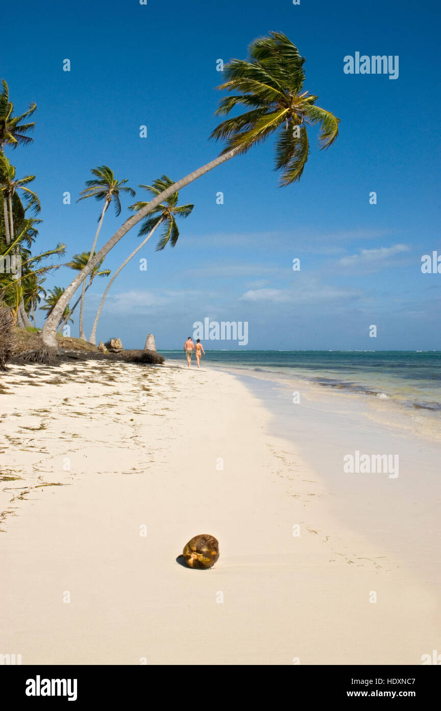 Camminando lungo una spiaggia con palme da cocco (Cocos nucifera), Punta Cana, Repubblica Dominicana, America Centrale Foto Stock