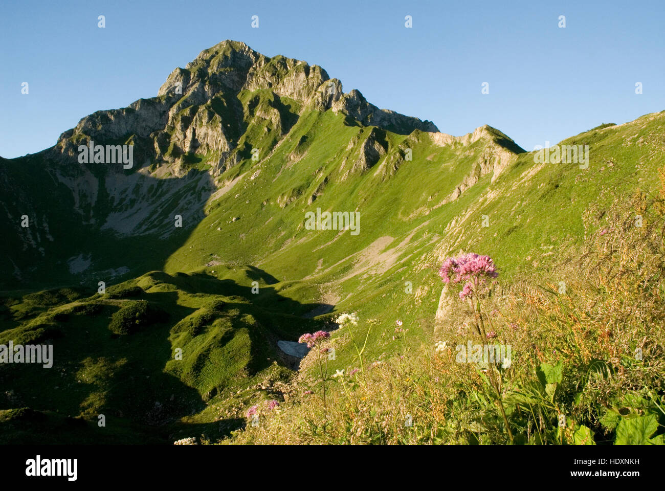 Eisenerzer Reichenstein montagna, Eisenerz, Stiria, Austria, Europa Foto Stock