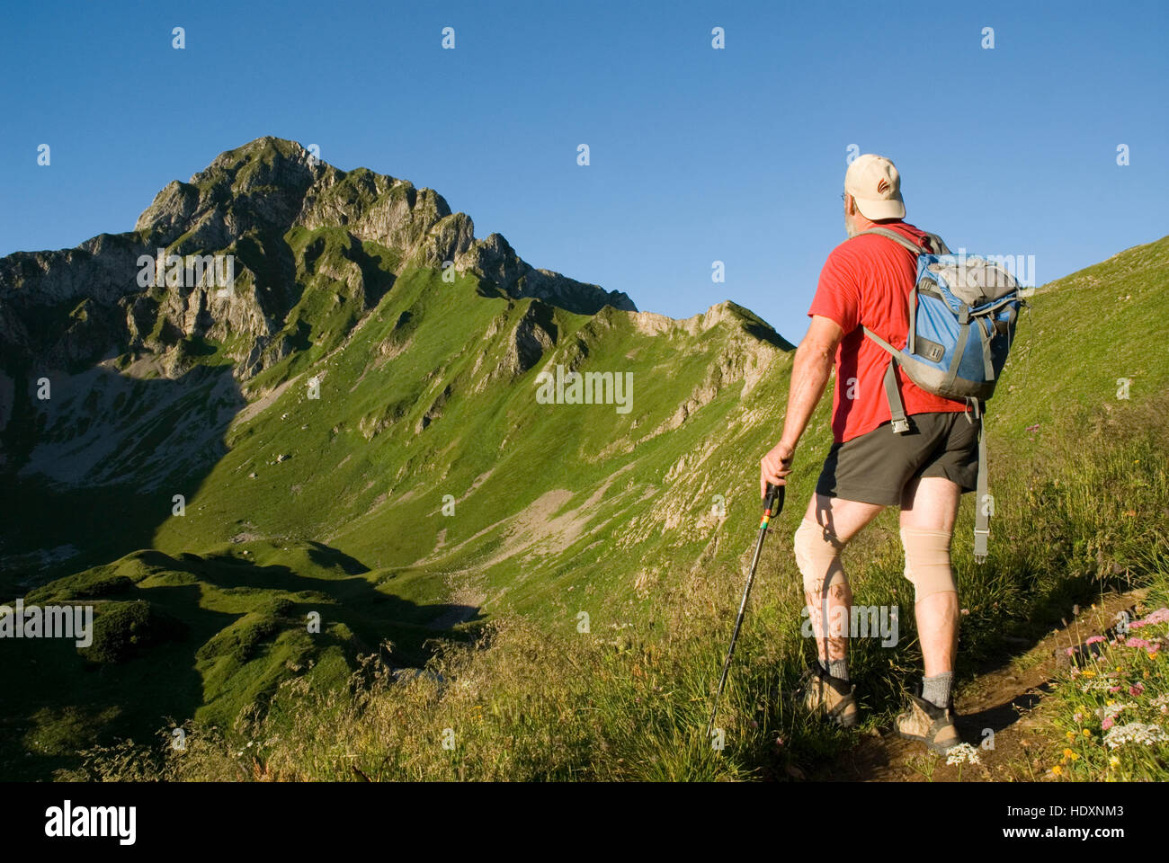 Eisenerzer Reichenstein montagna, Eisenerz, Stiria, Austria, Europa Foto Stock