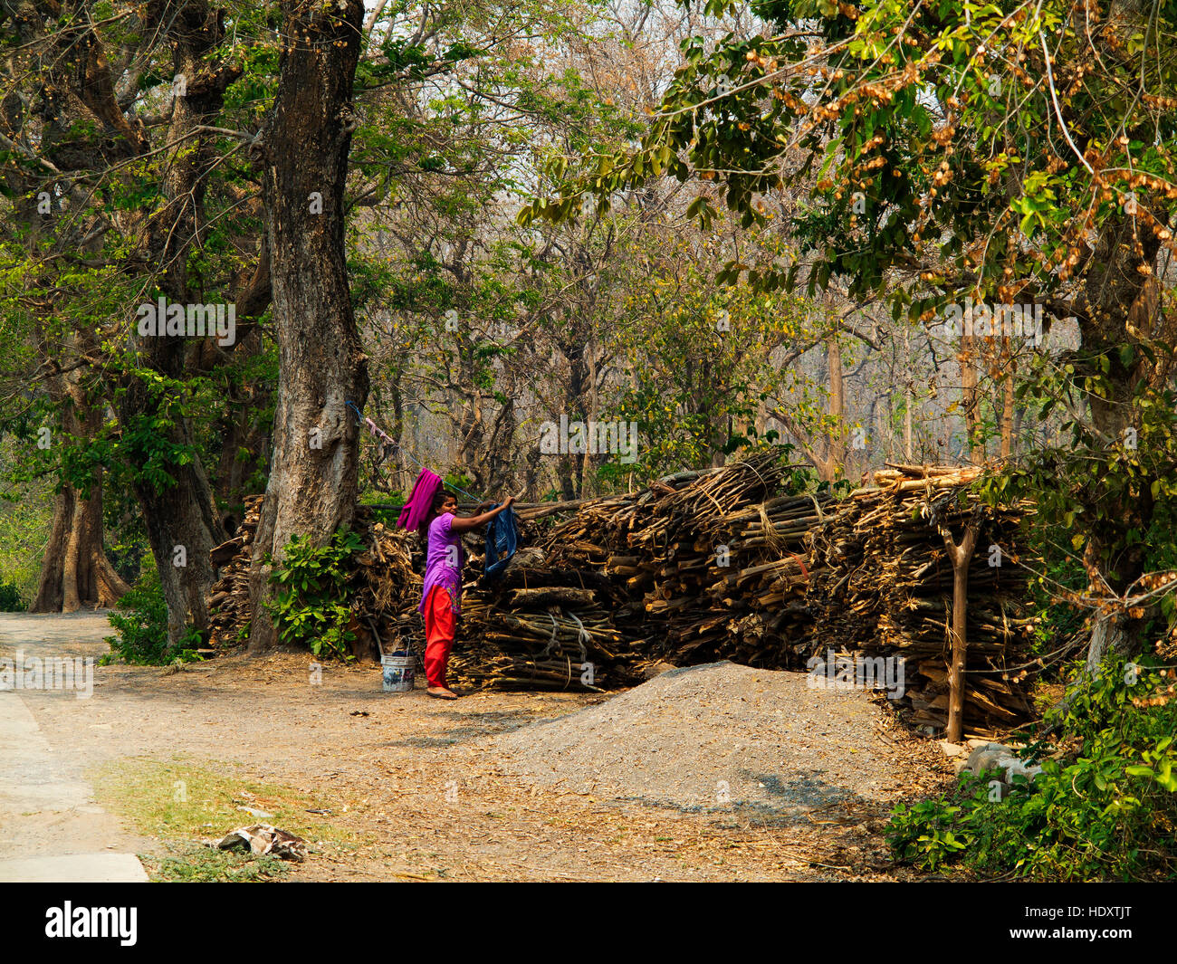 Donna indiana di mettere i vestiti ad asciugare vicino alla giungla di Chotti Haldwani, Kaladunghi, Uttarakhand, India Foto Stock