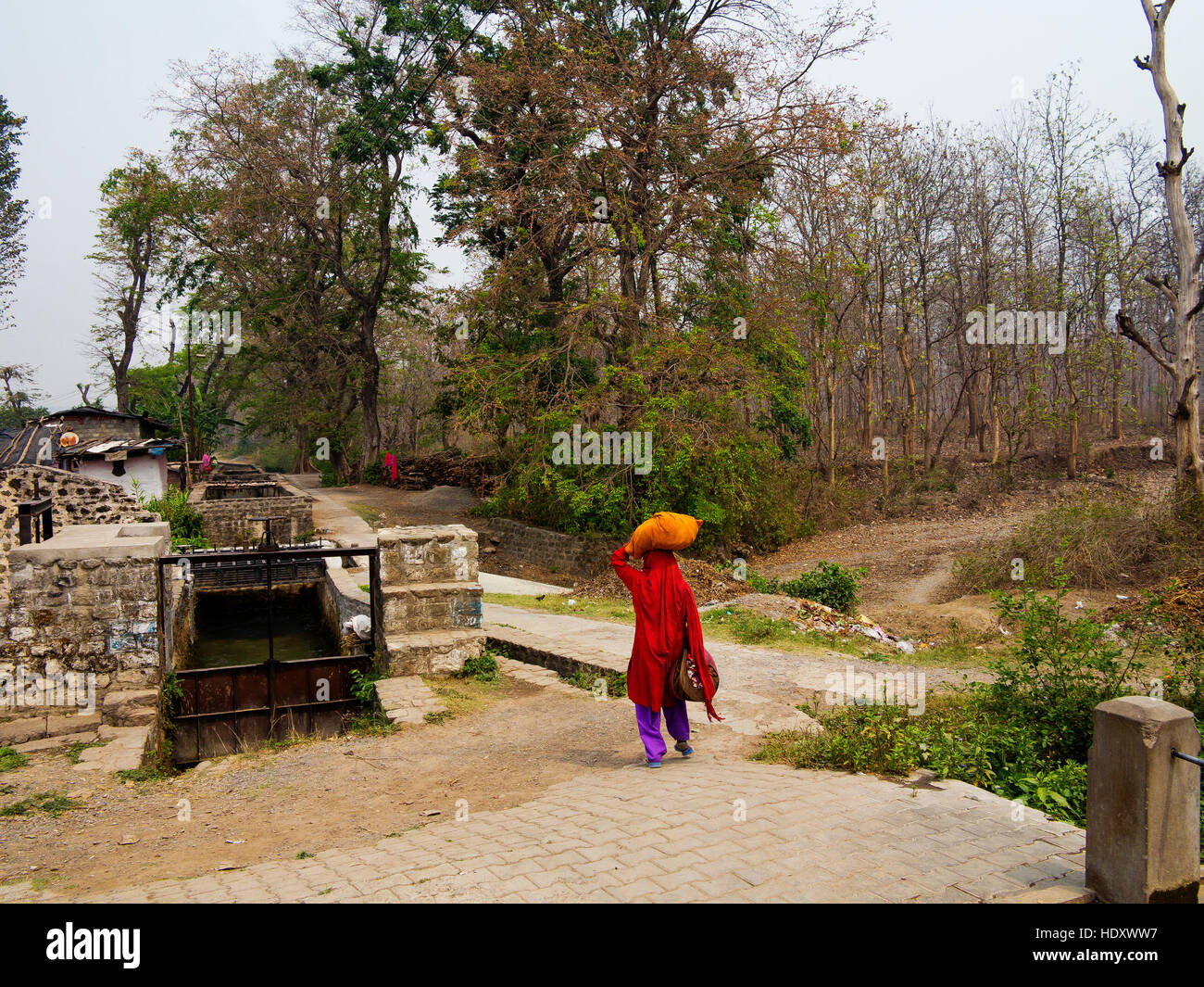 Donna indiana a piedi vicino alla giungla di Corbett e cinghiale Canal a Chotti Haldwani, Kaladunghi, Uttarakhand, India Foto Stock