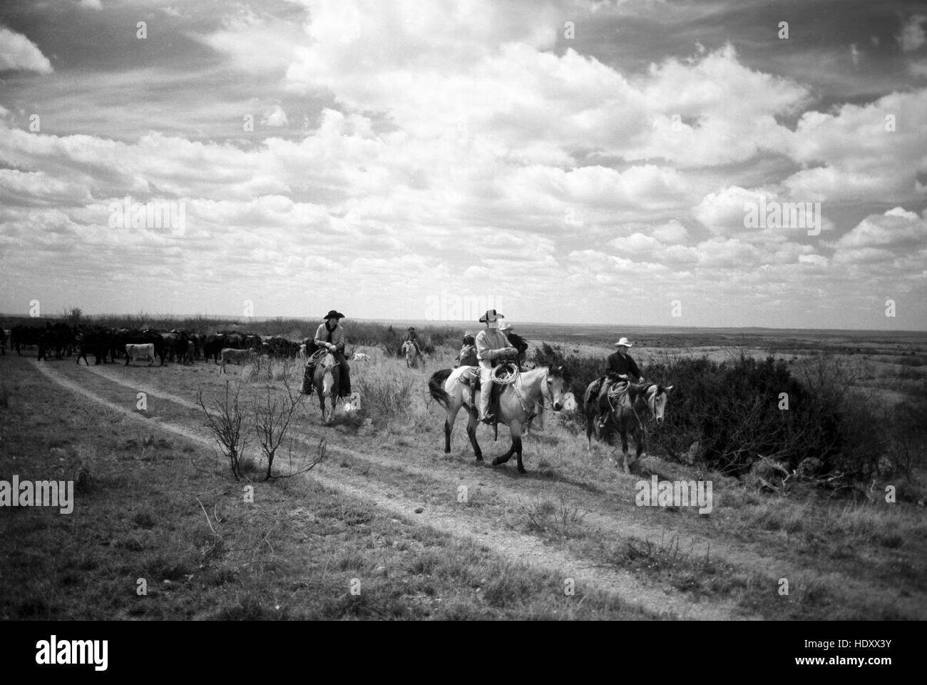 I cowboys dopo una dura giornata di raccolta di bovini, Sandy Camp, Clarendon, TX (scansione dal b&w negativo) Circa 1998 Foto Stock