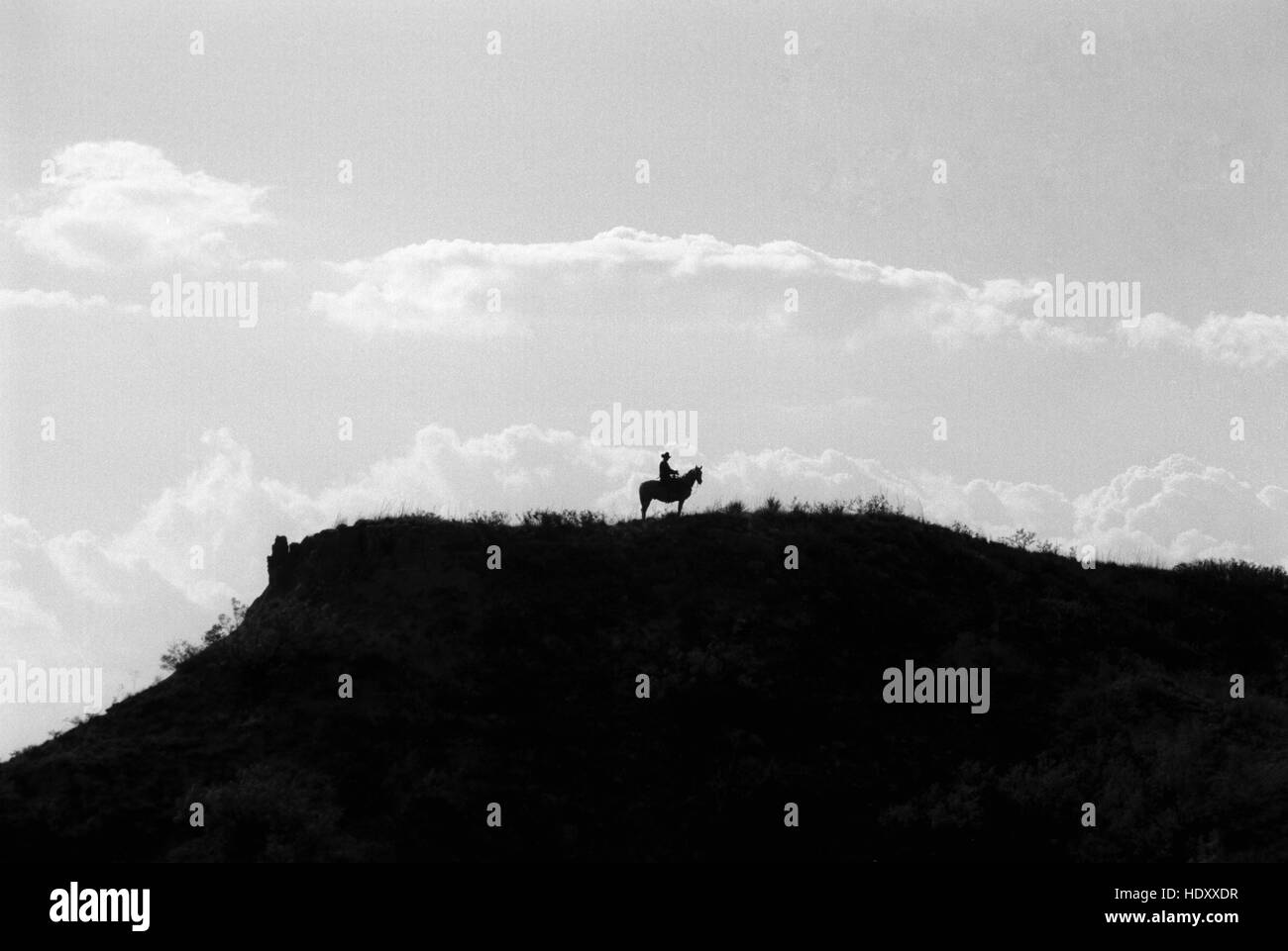 Un stagliano lone cowboy a cavallo si ferma in cima alla collina e guardando a destra Foto Stock