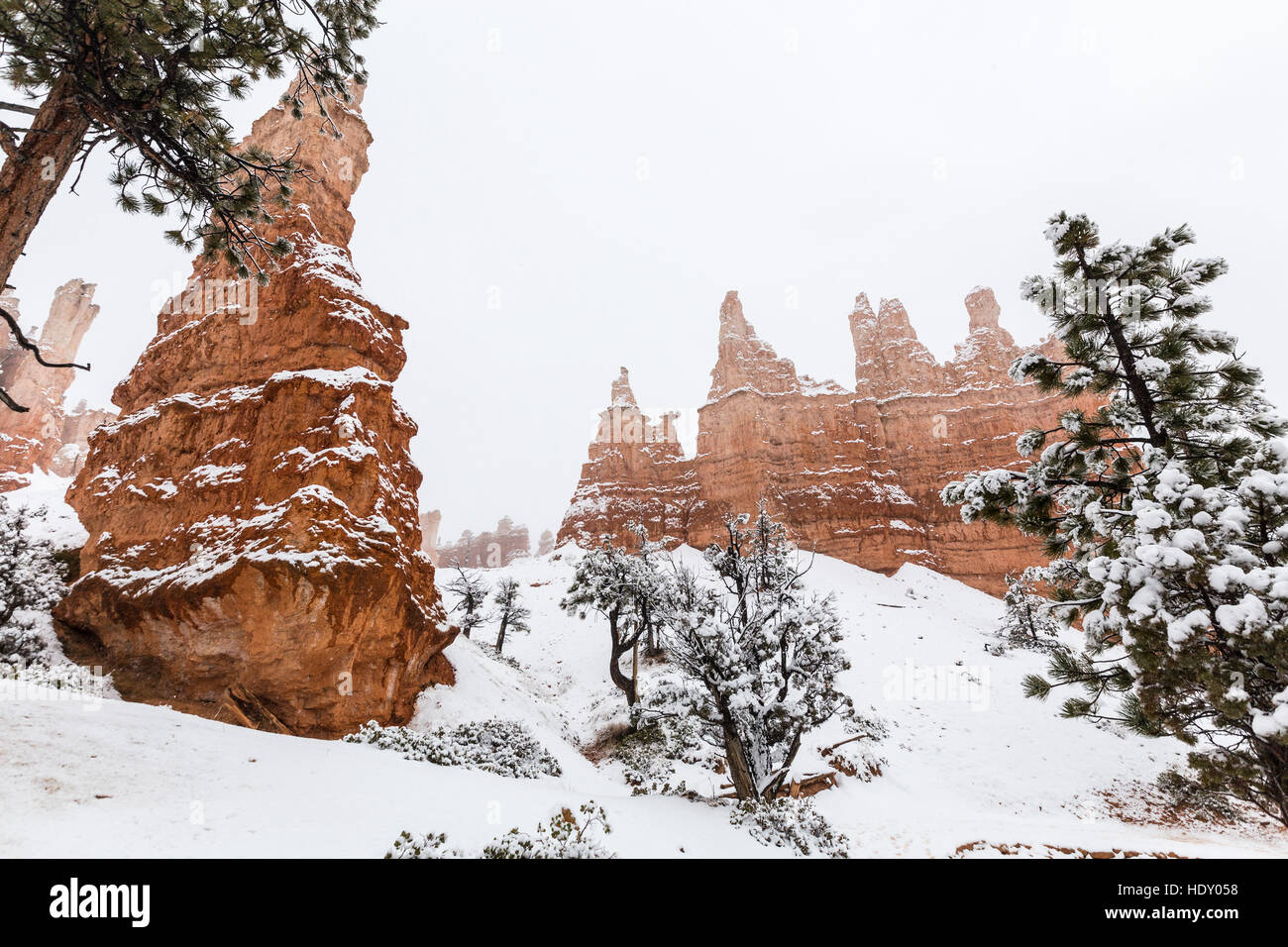 Hoodoos nella neve a Bryce Canyon National Park nel sud dello Utah. Foto Stock