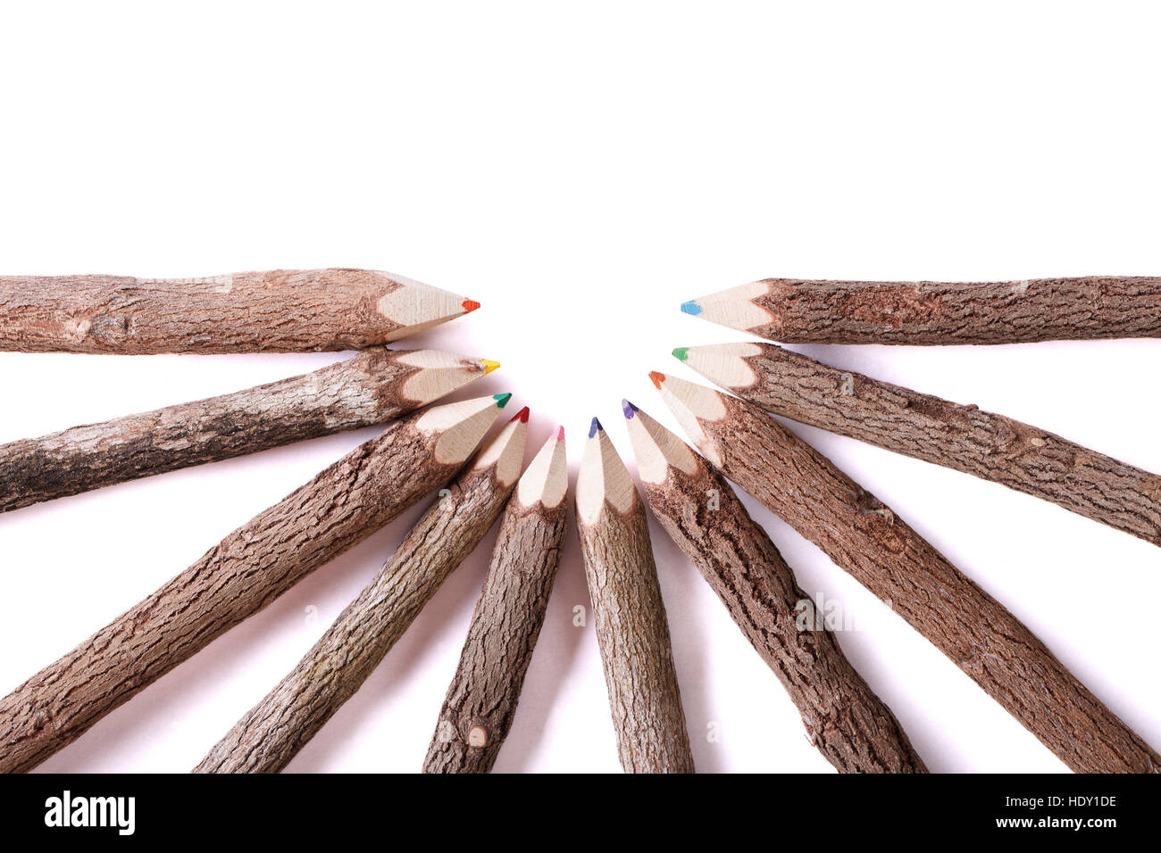 Colore fatti a mano disegno a matita di tronchi di legno closeup isolati su sfondo bianco orizzontale. Foto Stock