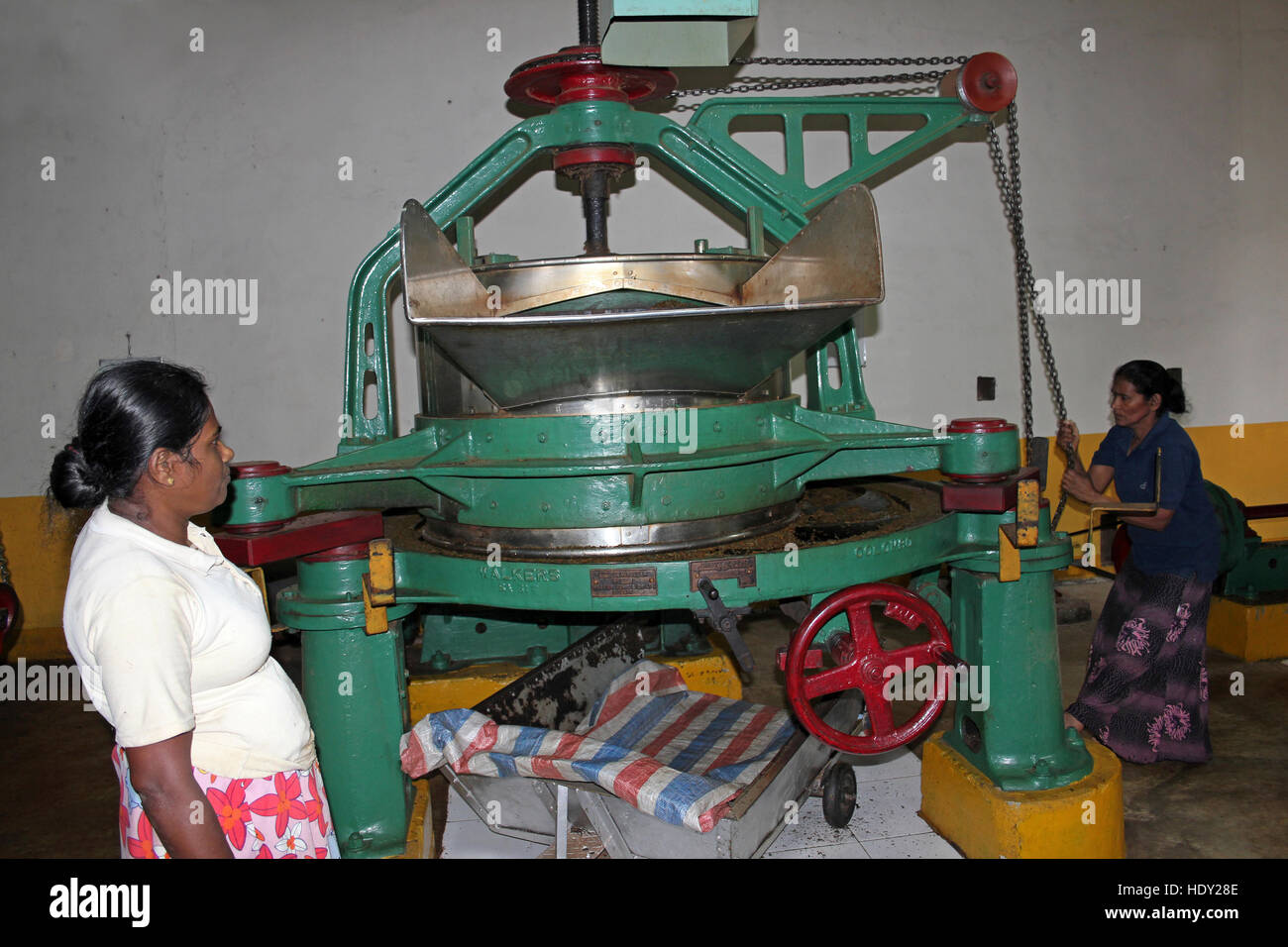 Fabbrica di tè in Sri Lanka Foto Stock