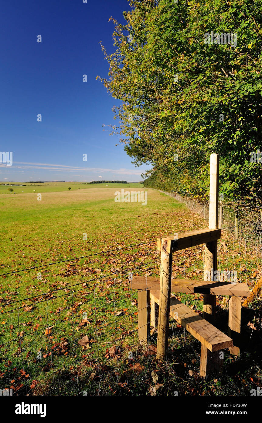 Una recinzione stile conduce al cursus, parte di Stonehenge il sito del Patrimonio Mondiale. Foto Stock