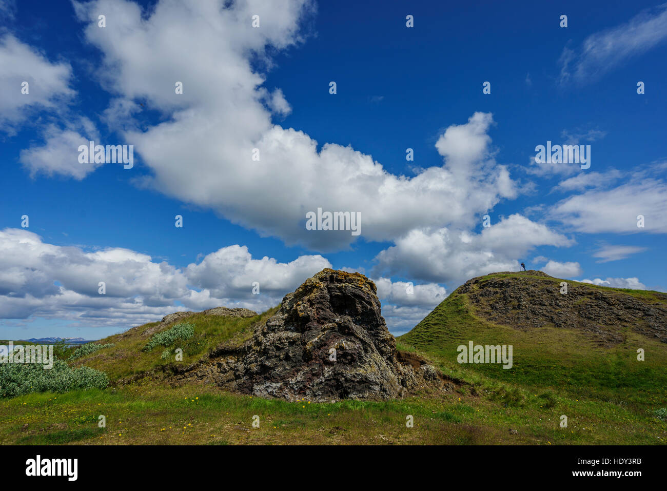 Estate, Skutustadagigar pseudo crateri, Skutustadir, Lago Myvatn, Area Nord dell'Islanda Foto Stock