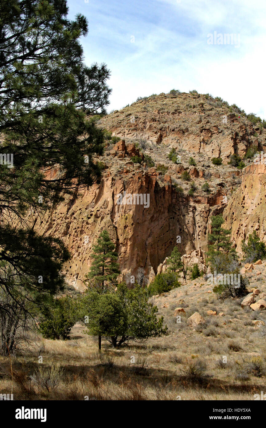 Le scogliere di Bandelier offerto rifugio ai primi nativi americani che grotte scolpite fuori la tenera pietra delle scogliere. Foto Stock