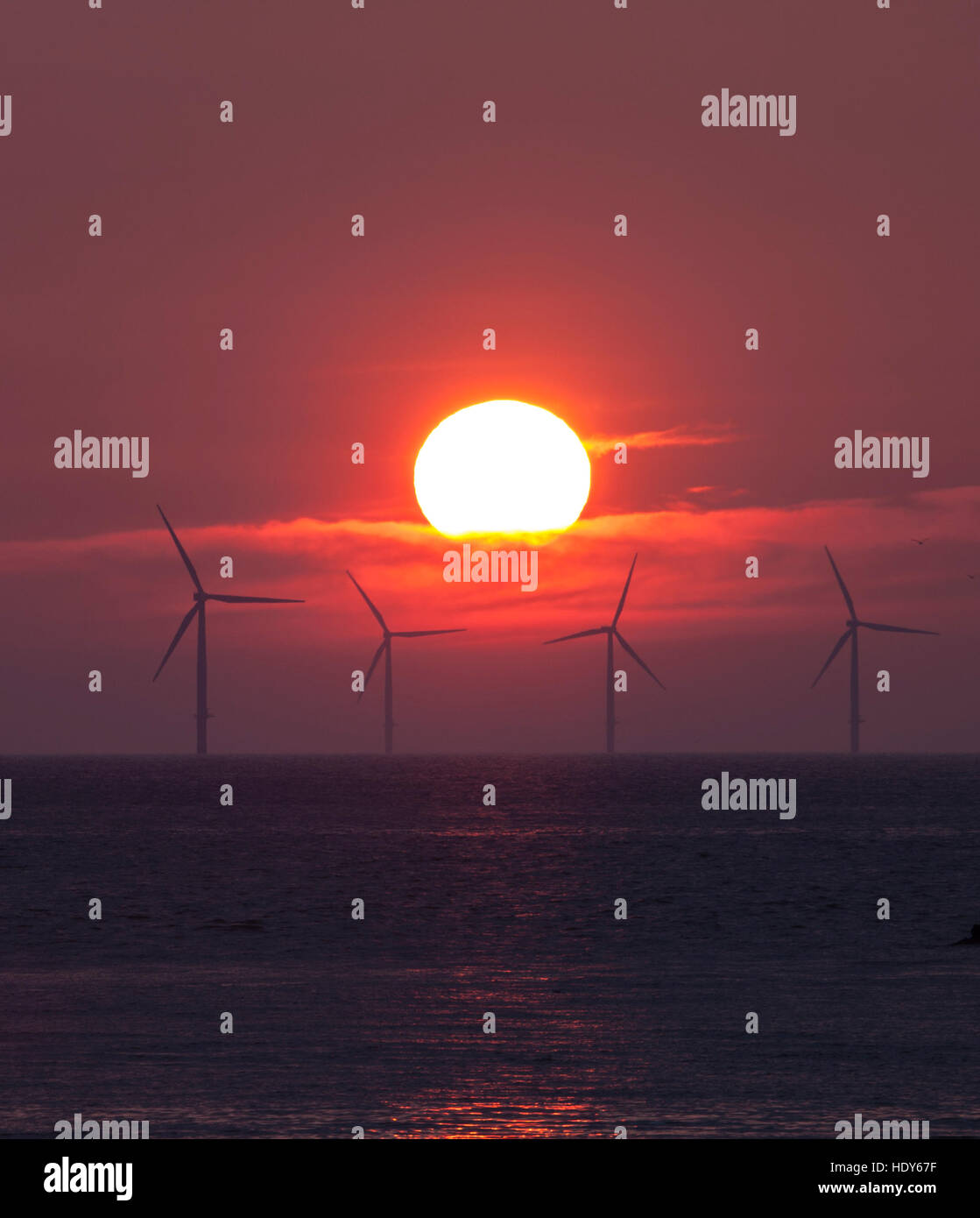 L'energia eolica, la fattoria eolica, generatori, elettricità, naturali, rinnovabili, potenza, energia pulita, centrali eoliche offshore, tramonto, turbine Foto Stock