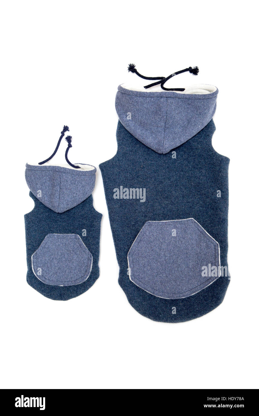 Unico cane blu maglione isolare su bianco Foto Stock