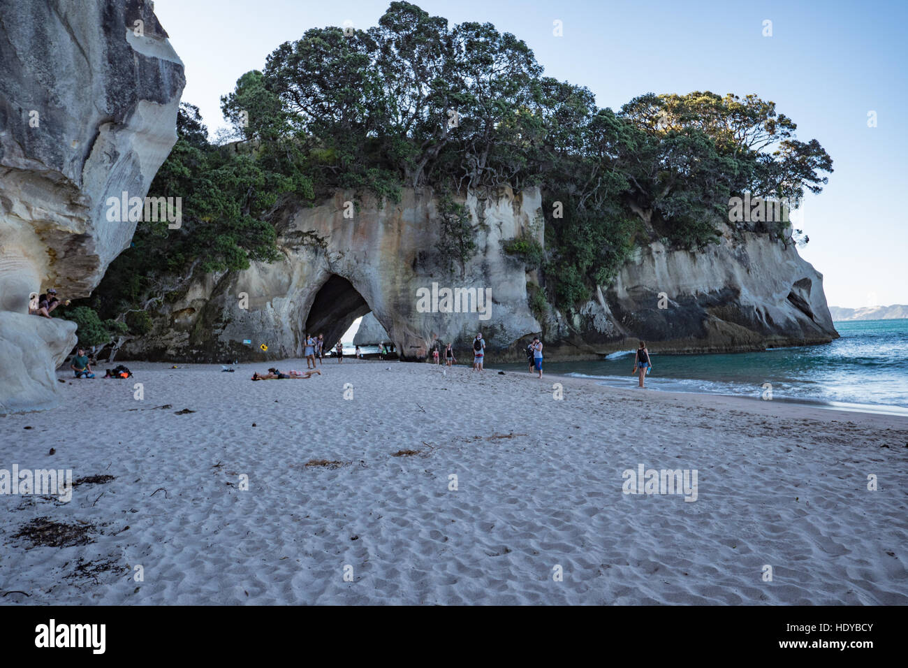 Cattedrale Cove Beach, Arco Naturale e 'Te Hoho Rock' Penisola di Coromandel, Isola del nord, Nuova Zelanda. Foto Stock