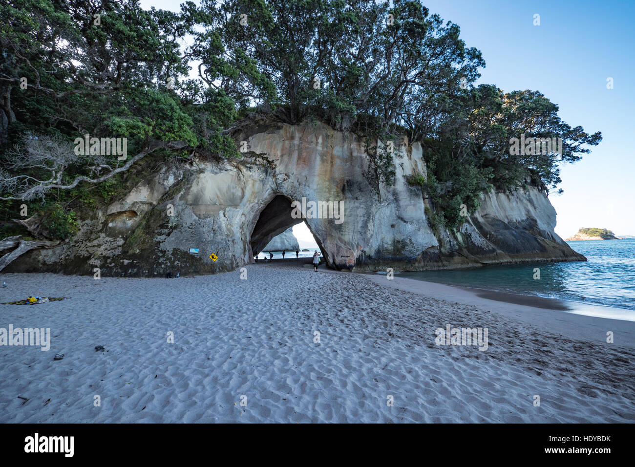 Cattedrale Cove Beach, Arco Naturale e 'Te Hoho Rock' Penisola di Coromandel, Isola del nord, Nuova Zelanda. Foto Stock