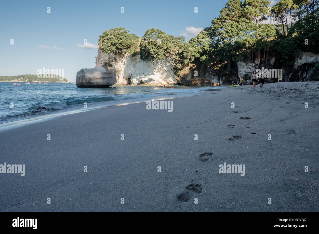 Cattedrale Cove Beach, Penisola di Coromandel, Isola del nord, Nuova Zelanda. Foto Stock