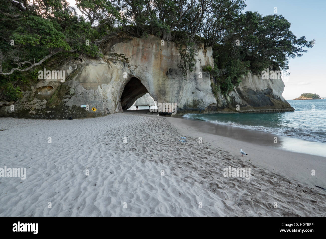 L'arco naturale a Cove della cattedrale, Penisola di Coromandel, Isola del nord, Nuova Zelanda. Foto Stock