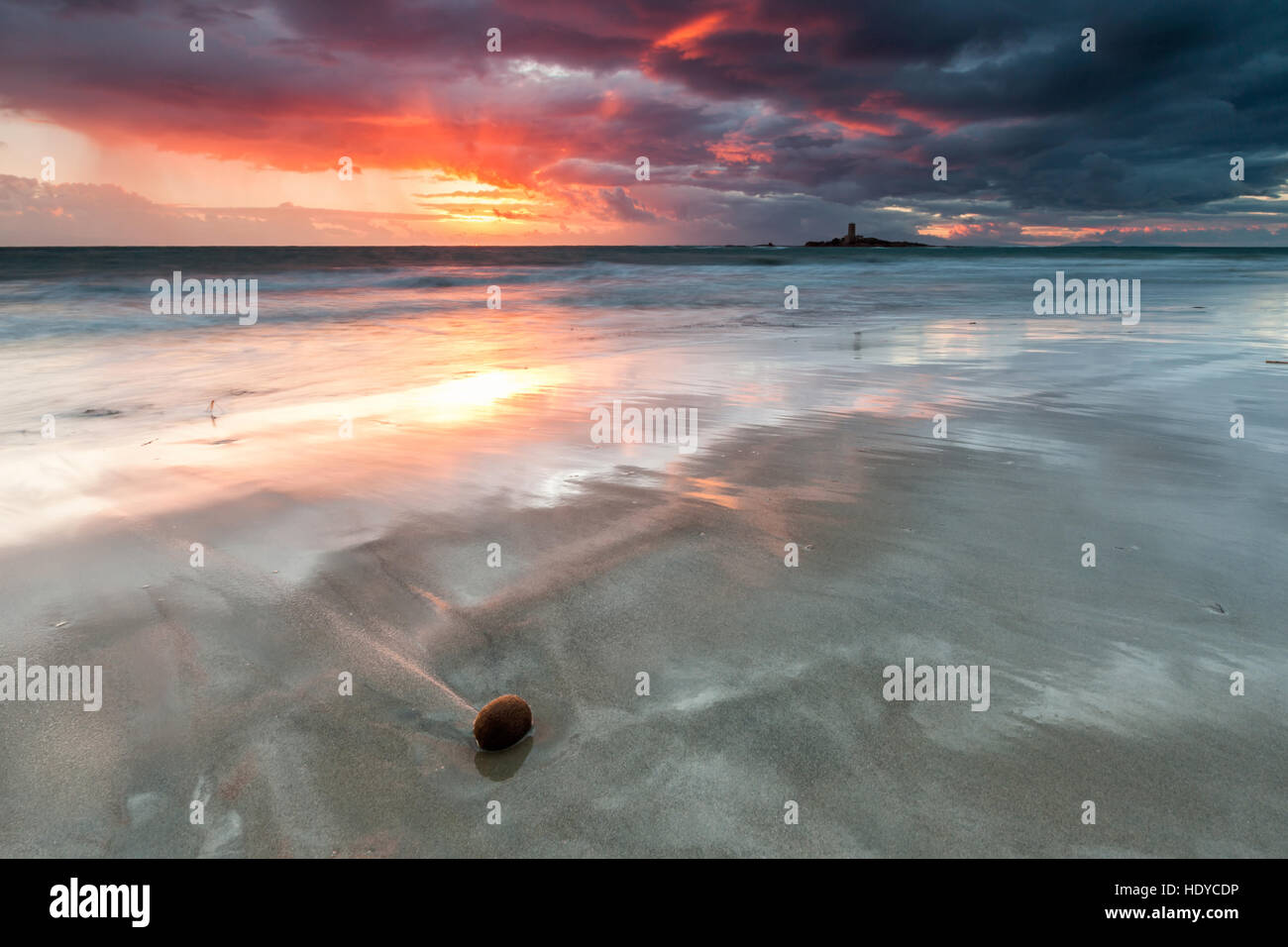 Il Kiwi dalla spiaggia al tramonto Foto Stock