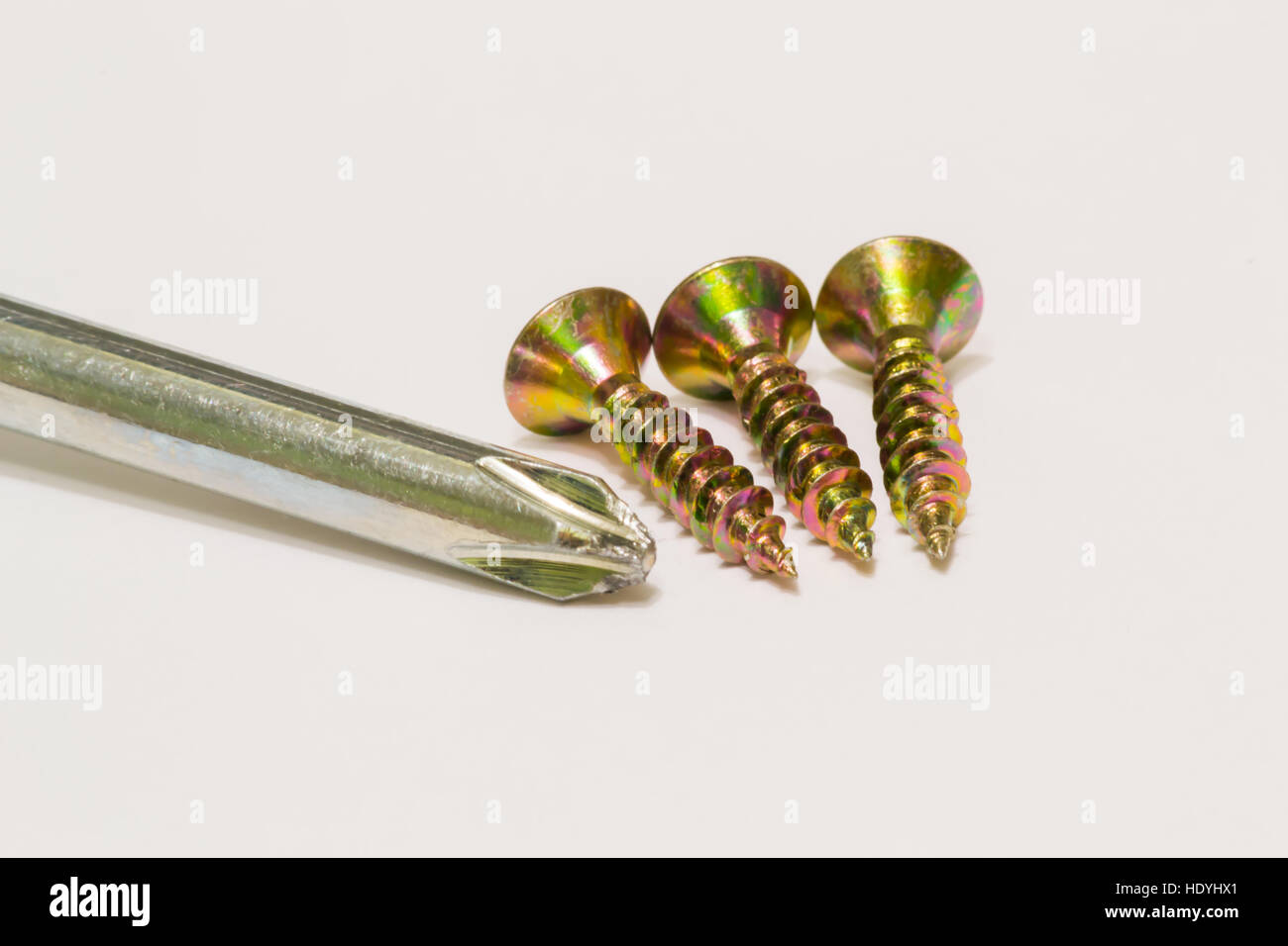 Viti per il legno e il cacciavite macro indoor Foto Stock