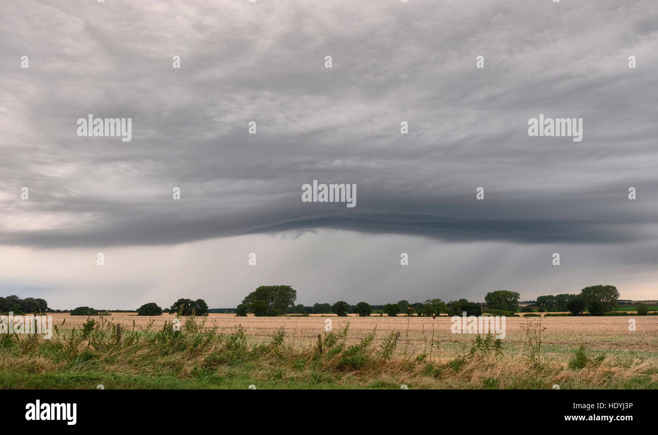 Nuvole d'onda su campi di grano di Norfolk, metà dell'estate. Pioggia caduta nella distanza Foto Stock