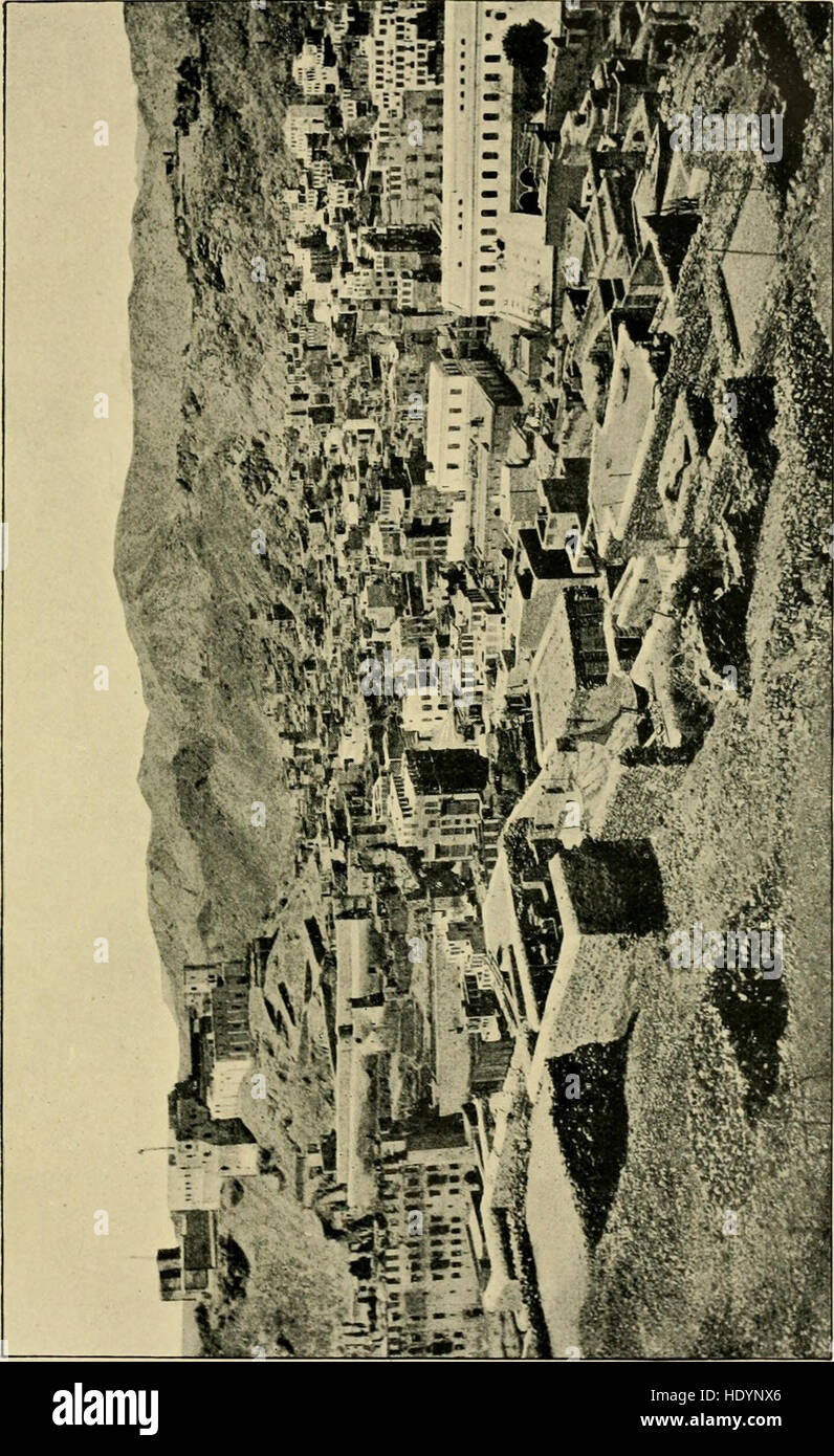 The Sword of Islam, pubblicato nel 1905, esplora la storia del potere e dell'influenza militare islamica, concentrandosi su battaglie chiave, leader e l'espansione della civiltà islamica attraverso la guerra. Foto Stock