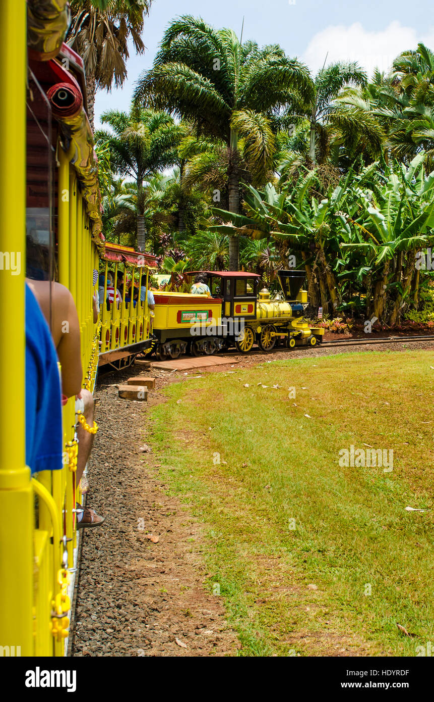 Pineapple Express treno a Dole Plantation, Wahiawa, Oahu, Hawaii. Foto Stock