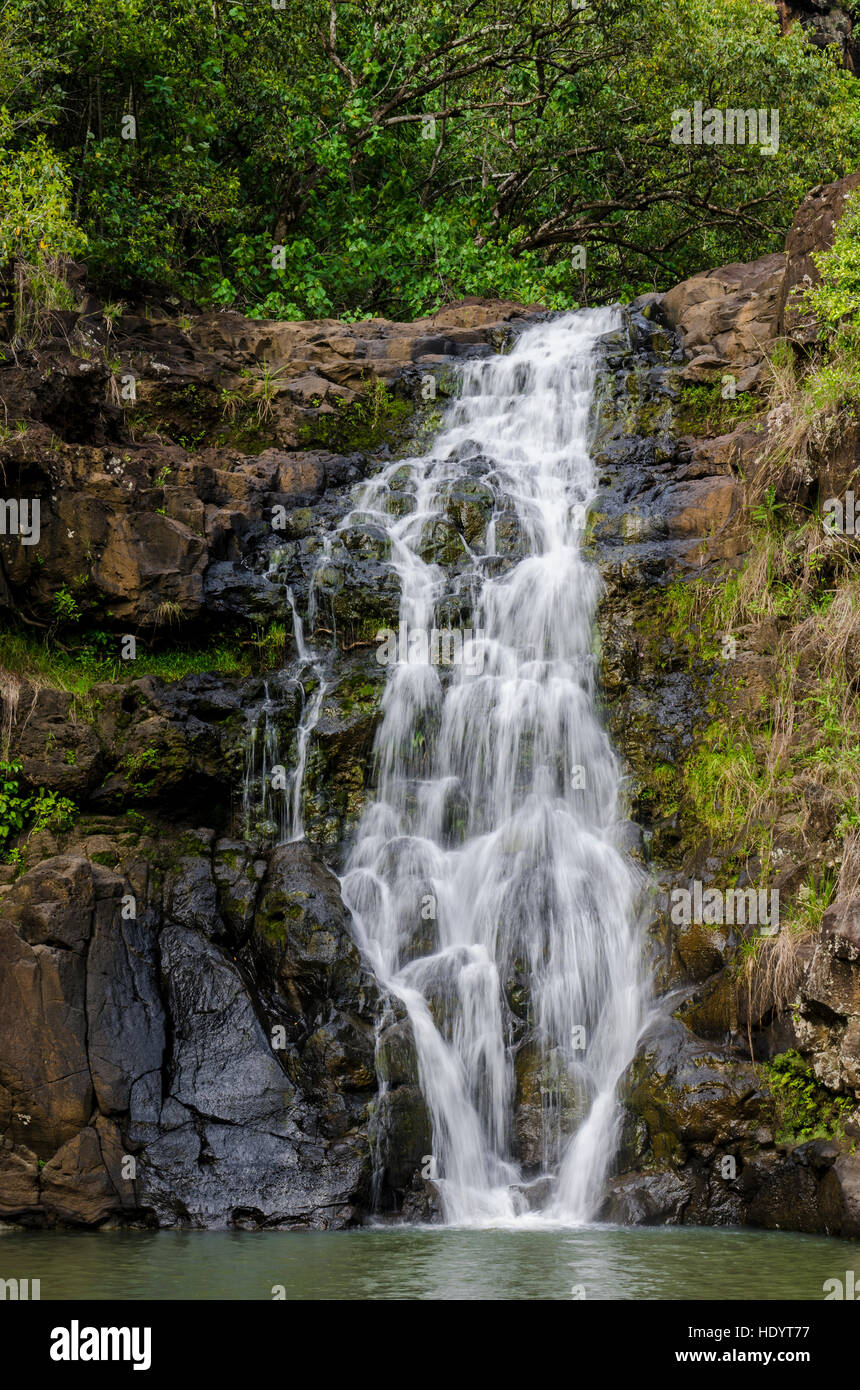 Il Waimea Falls, Waimea Valley Audubon Park, North Shore Oahu, Hawaii. Foto Stock