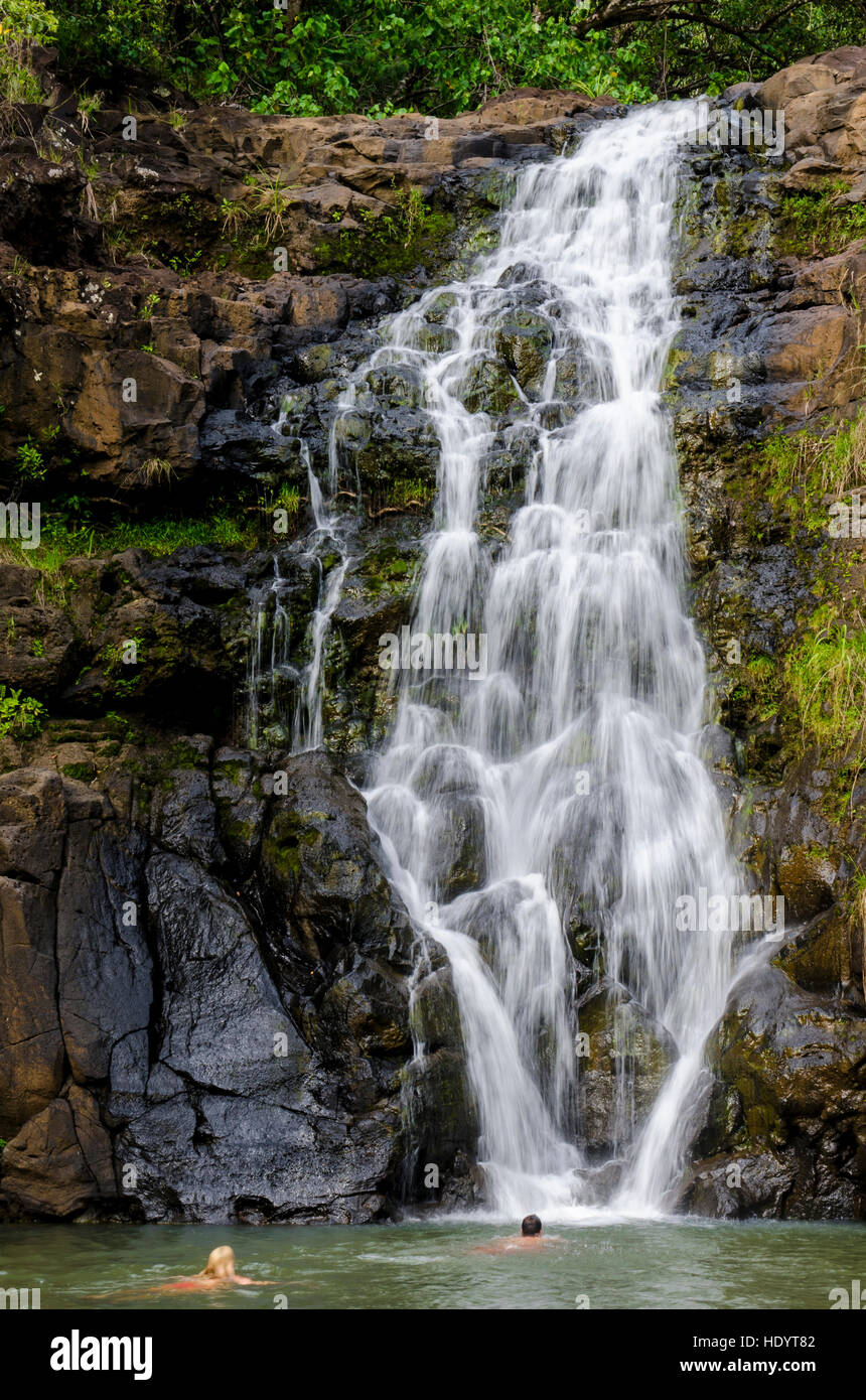 Il Waimea Falls cascate, Waimea Valley Audubon Park, North Shore Oahu, Hawaii. Foto Stock