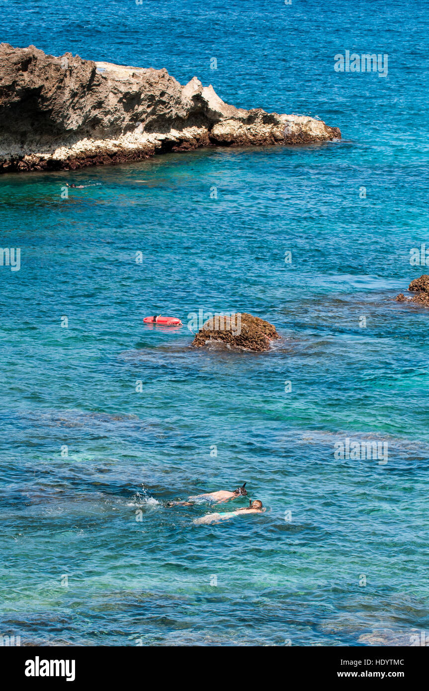 Snorkeling Hale'IWA Beach Park, North Shore Oahu, Hawaii. Foto Stock