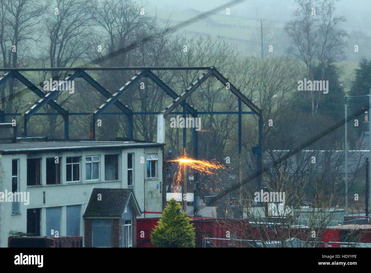 Dalry, UK. 15 Dic, 2016. Uomo su cherry picker utilizzando apparecchiatura di taglio di demolire la vecchia getti di mandorla impianto, Drakemyre. Credito: Ian Wright/Alamy Live News. Foto Stock