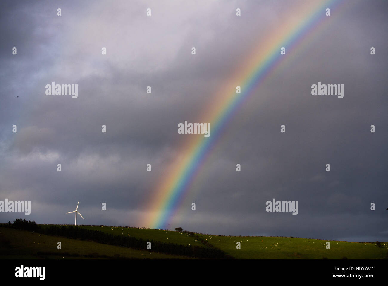 Aberystwyth Wales UK, giovedì 15 dicembre 2016 UK meteo: in un luminoso intervallo tra le docce un bellissimo arcobaleno colpisce una collina nei pressi di una turbina eolica nella periferia di Aberystwyth foto © Keith Morris/Alamy Live News Foto Stock
