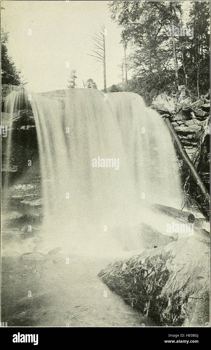 *Industrie forestali e del legno* (1910) discute lo sviluppo e le sfide nel settore forestale, comprese le pratiche sostenibili, il ruolo del legname nelle industrie e la conservazione delle foreste. Foto Stock