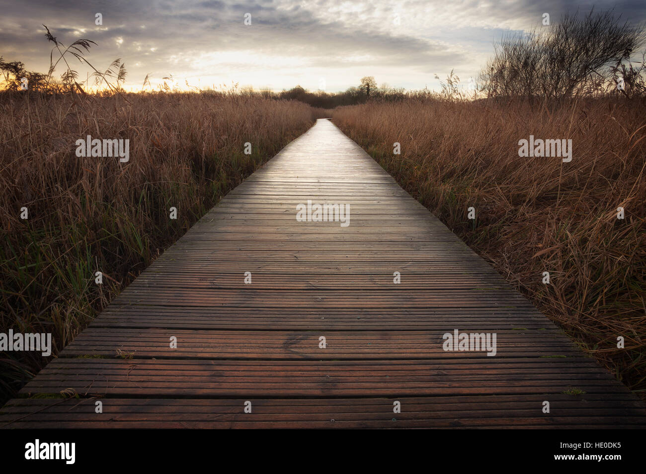 Cosmeston lake boardwalk Foto Stock