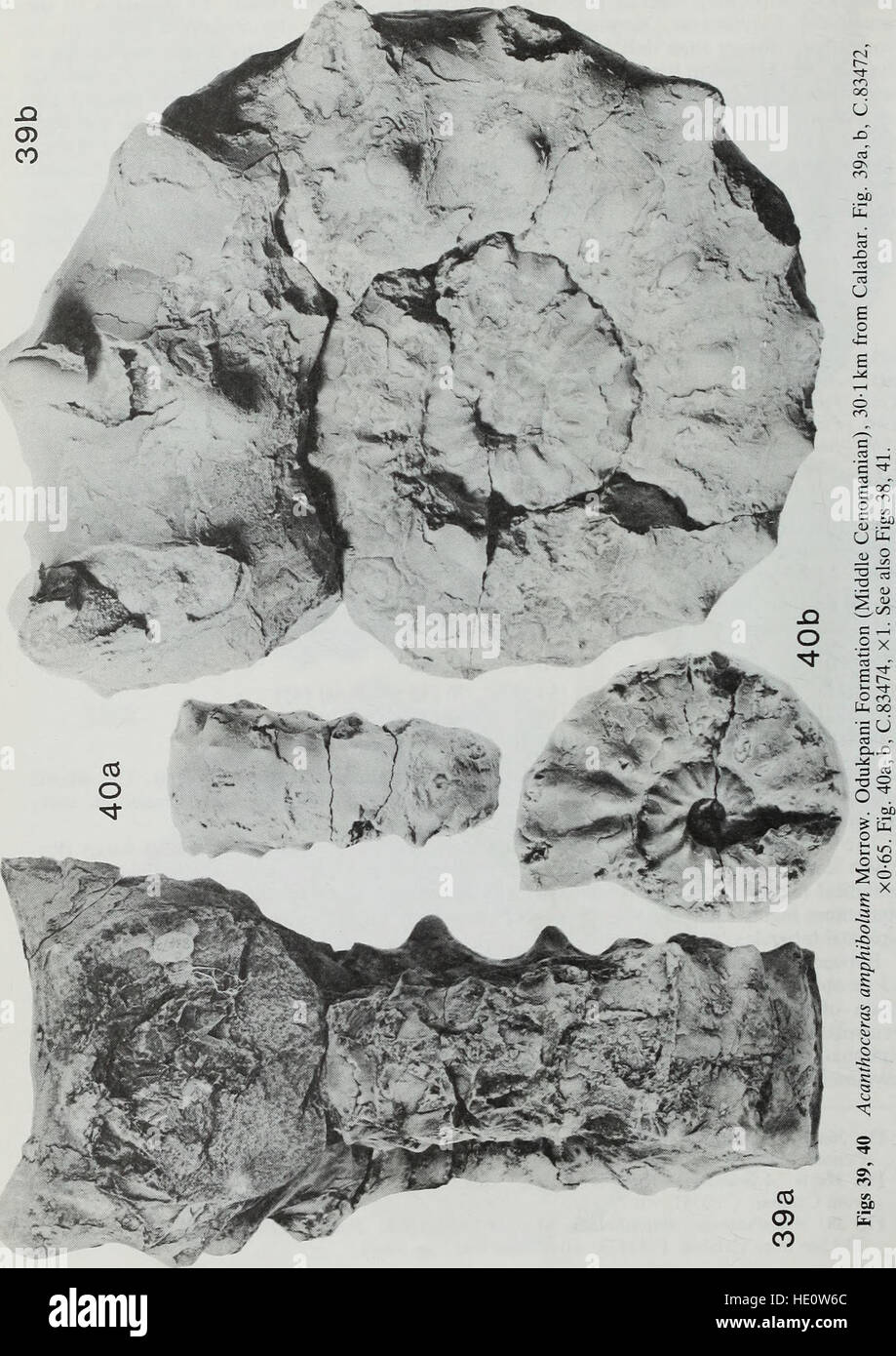 Bollettino del Museo Britannico di storia naturale), geologia (1985) Foto Stock