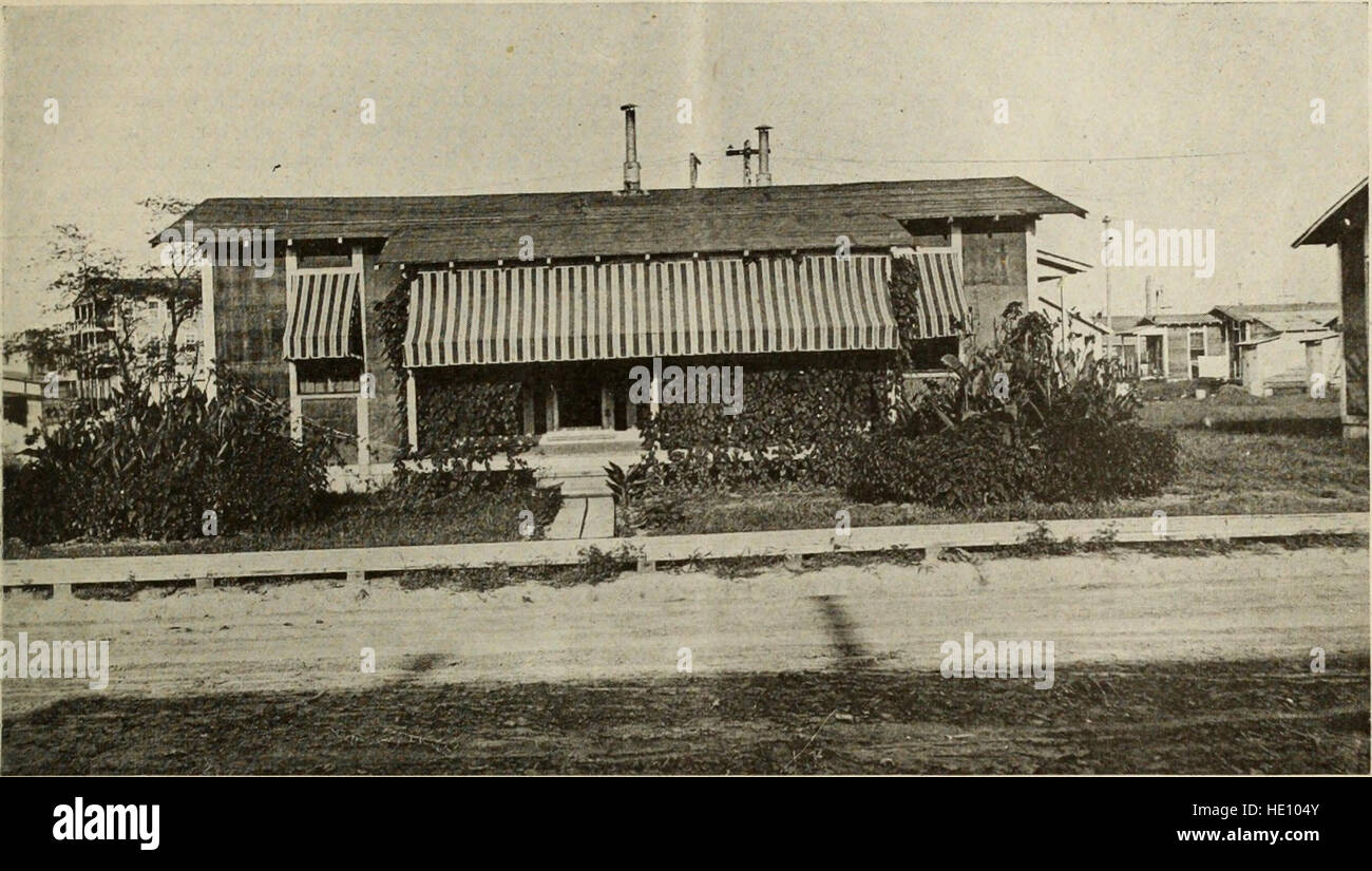 *Il sondaggio* (1917) copre le condizioni sociali, economiche e politiche negli Stati Uniti tra ottobre 1916 e marzo 1917, offrendo approfondimenti su questioni del tempo come il lavoro, la guerra e il cambiamento politico. Foto Stock