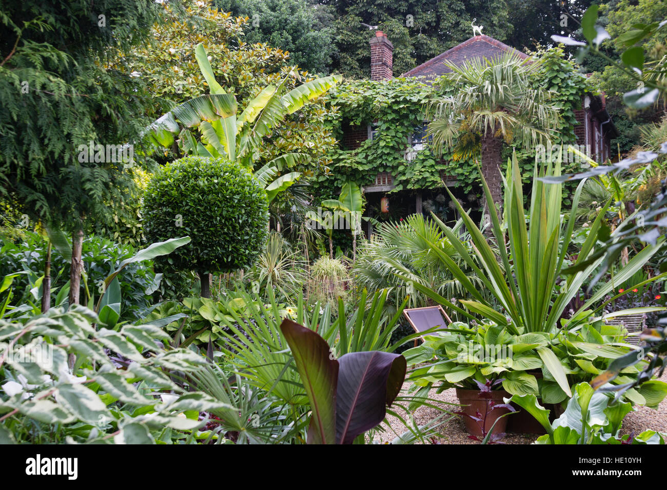 I contrasti di fogliame forma e colore in una giungla di tema esotico giardino di Norwich Foto Stock